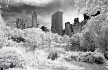 Naklejka premium Infrared image of the Central Park