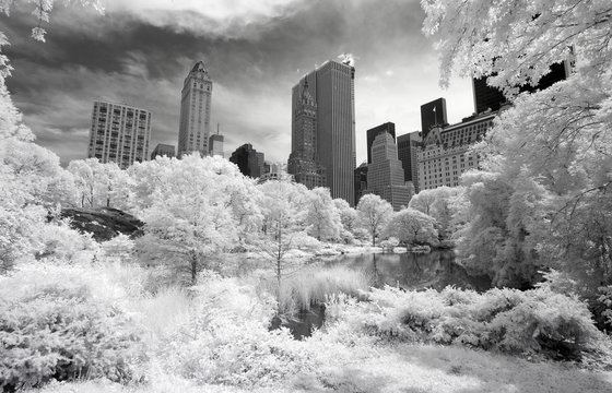 Fototapeta Infrared image of the Central Park