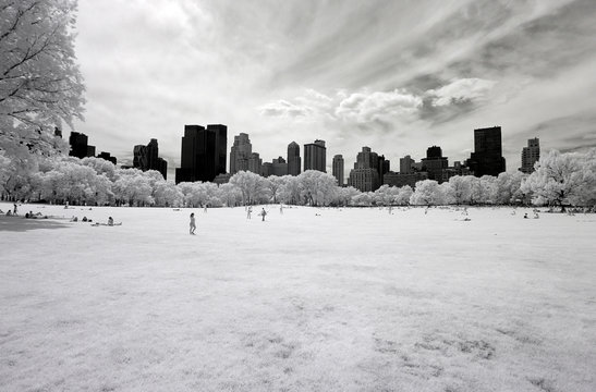 Infrared image of the Central Park