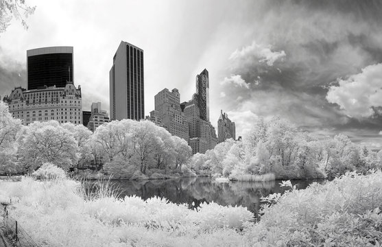 Fototapeta Panorama infrared image of the Central Park