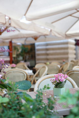 Летние веранды в Москве