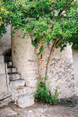 Vecchia scala di pietra