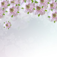 Fototapeta premium Border of white - pink flower on blue background