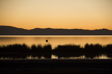 Titicaca Lake at sunset