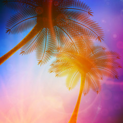 Palm trees with beautiful sunset.