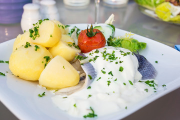 Bismarckhering mit Sahnesoße