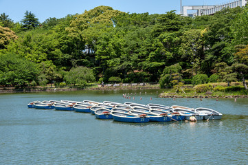 Obraz premium 千葉公園