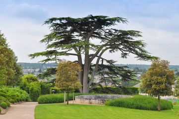 Chateau Amboise castle