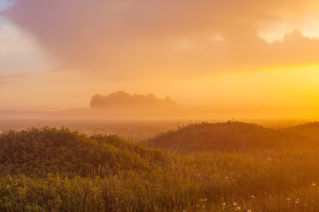 Fototapeta na wymiar Foggy meadow at sunset