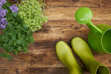 Frame of garden tools and flowers. Top view.