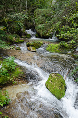Fototapeta premium Torrente e Roccia