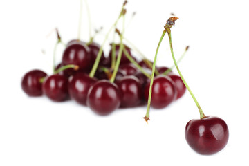 Sweet cherries isolated on white