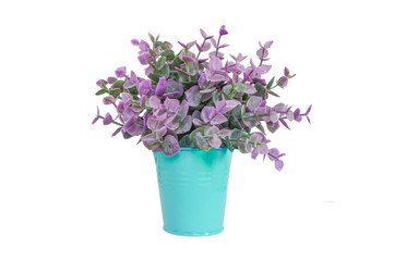 Purple plant in blue metal flower pot, isolated over white