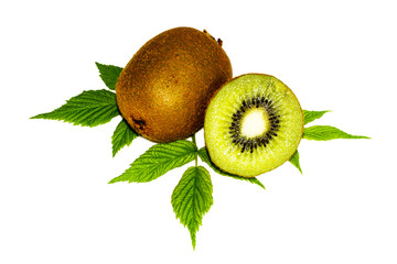 kiwi isolated