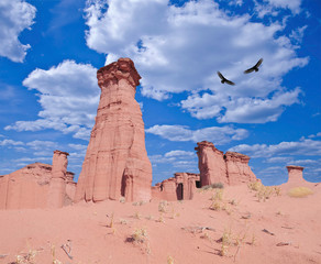 Red rock canyon. Talampaya National Park. La Rioja.
