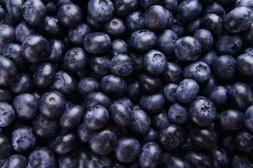 Delicious blueberries close-up