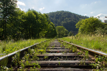 Fototapeta na wymiar Railway track in the natural scenery.