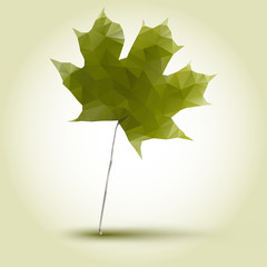 polygonal green maple leaf