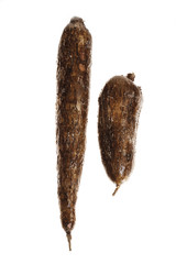 Maniok Wurzeln , close-up