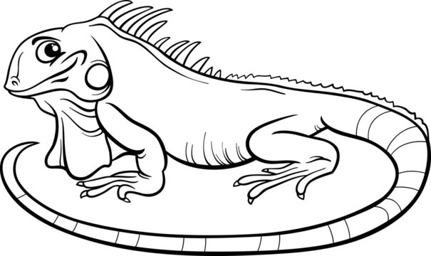 iguana cartoon coloring book