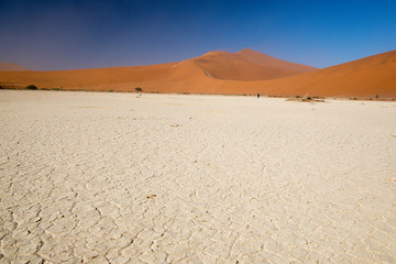 Dans le désert du Namib en Namibie