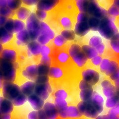 Bacteria cells close up