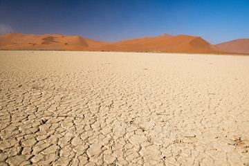 Fototapeta na wymiar Dans le désert du Namib en Namibie
