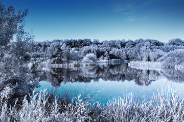 Clear lake in a forest. Infrared effect giving cold winter look