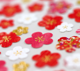 Obraz na płótnie Canvas 梅の花　カラフルな花柄