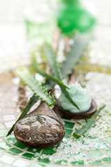 Aloe skincare products.
