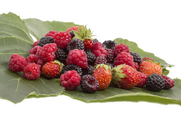 raspberries blackberries and strawberries on a green leaf vine