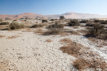Désert du Namib en Namibie