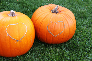 zwei pumpkins mit herz