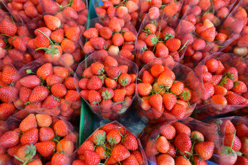 Fresas