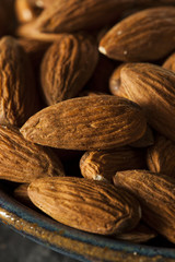 Raw Organic Brown Almonds
