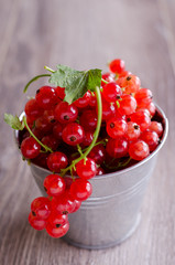 redcurrant
