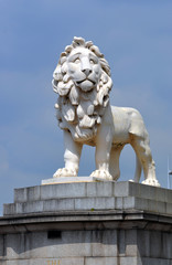 Lion in Trafalgar Square. London.