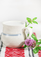 Fresh milk in ceramic mug