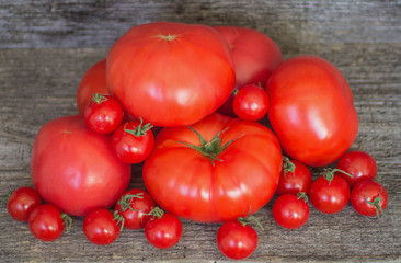 ripe red tomatoes