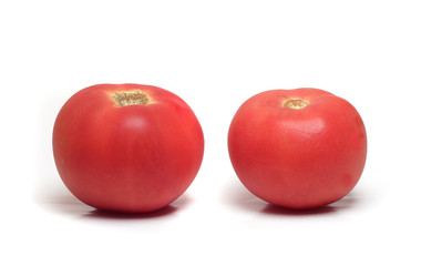 Two ripe tomatoes