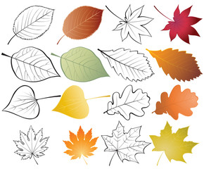set of leaves