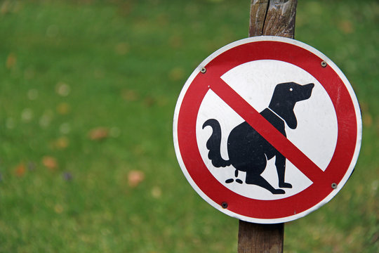 Schild