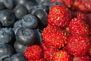 Fresh blueberry and wild strawberry in summer.