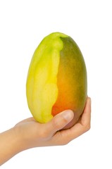 Mango on white background