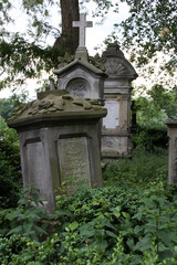 Historischer Friedhof Nienhagen (Detmold)