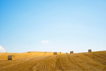 Strohballen auf einem Feld
