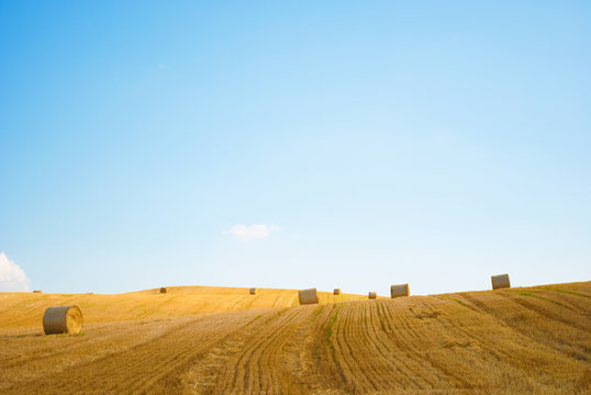 Strohballen auf einem Feld