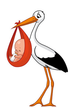 Stork and baby