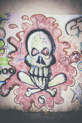 Fototapeta na wymiar Graffiti tête de mort