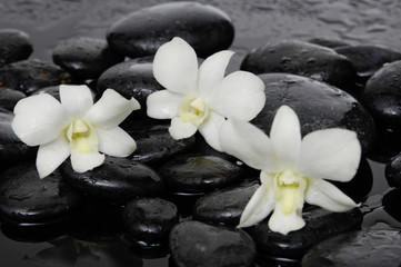 Obraz na płótnie Canvas Three white orchid with therapy stones